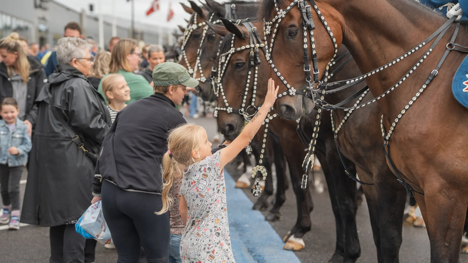 Flagdag fylder Næstved med heste, veterankøretøjer og familieaktiviteter