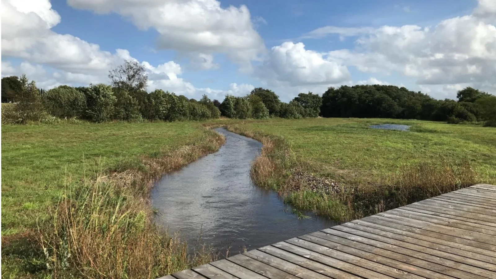 Nu er der fri passage for fiskene i Ansager Å og Nørrebæk ved Krogager