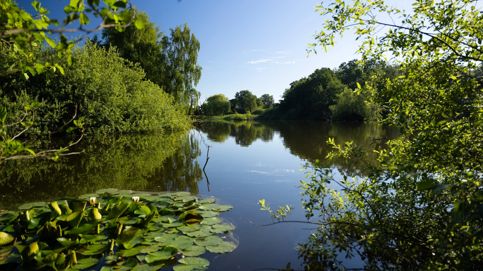 Outdoorkæde og kunder bakker op om naturen i Lerbjerg Skov