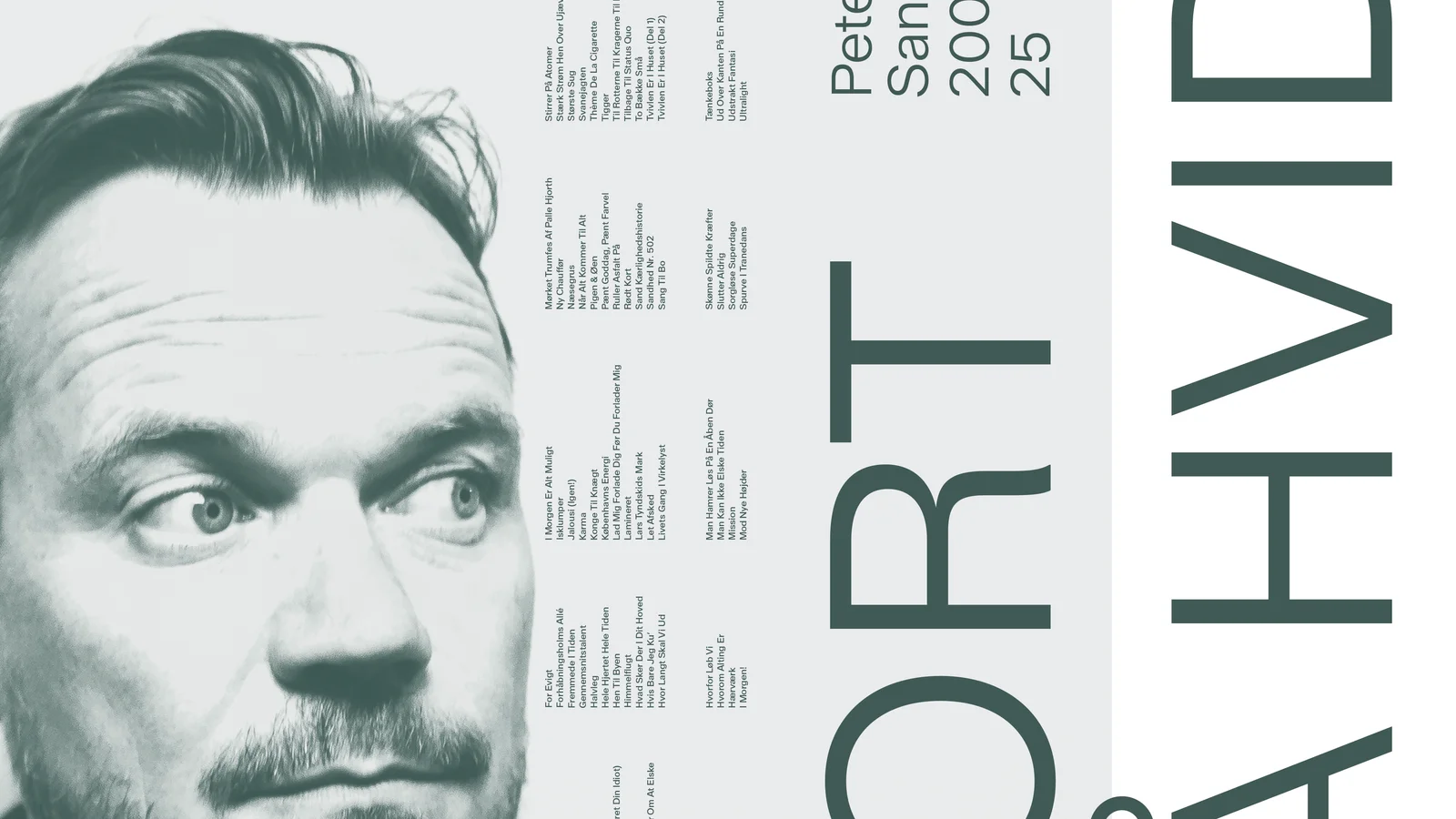 Peter Sommer debuterer i bogformat