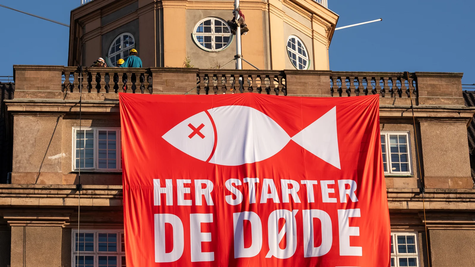 Greenpeace i aktion hos Landbrug & Fødevarer: “Her starter de døde fjorde”