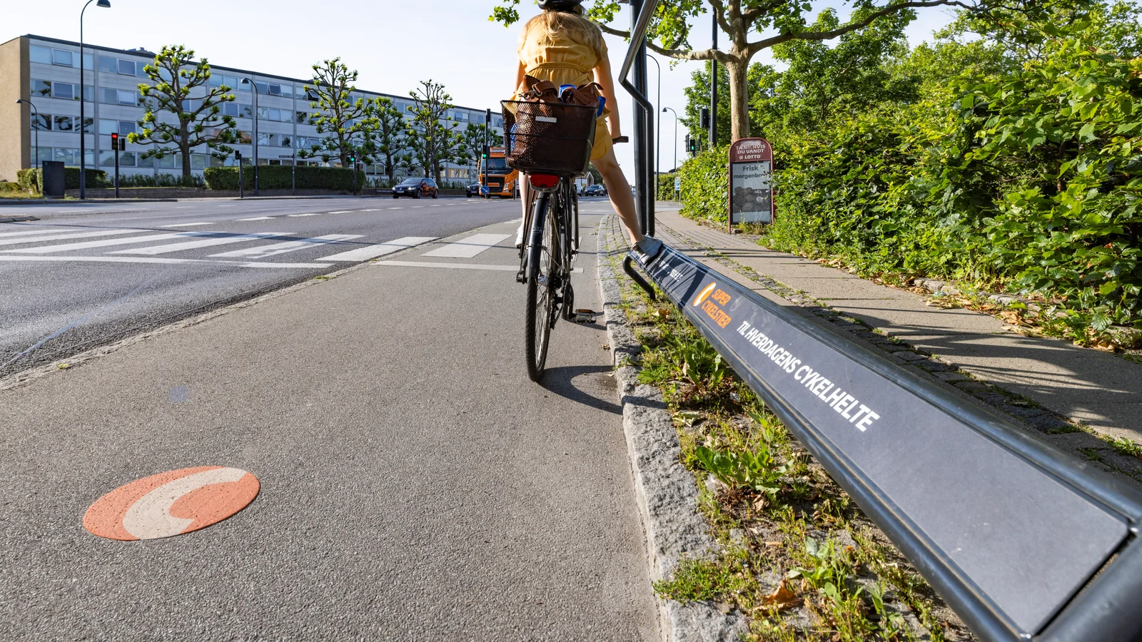 Regionale cykelruter er en virkelig god investering for staten – giver 6 mia. kr. i overskud