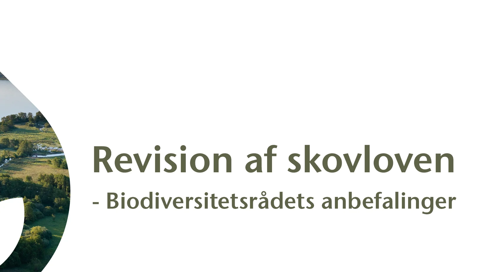 Biodiversitetsrådet: Løft biodiversitet op i skovlovens formål