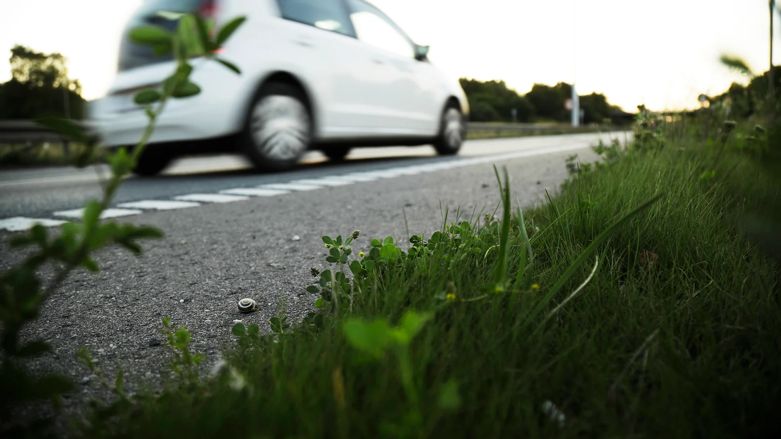 31 kommuner havde ingen trafikdræbte i 2025