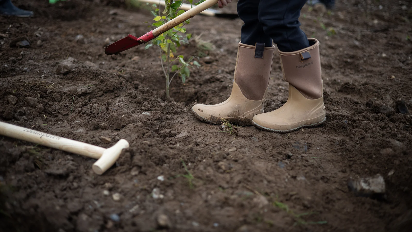 Vær med til at plante en ny skov ved Ejstrup