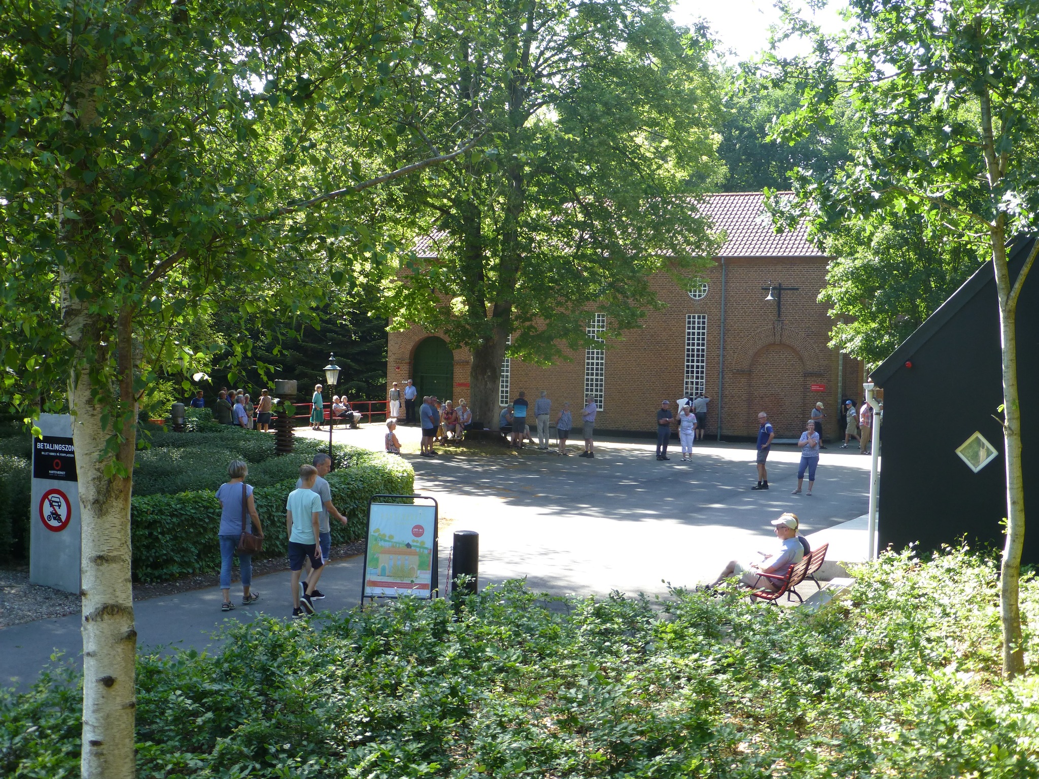 Image 4