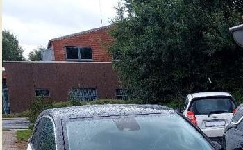 Image 6