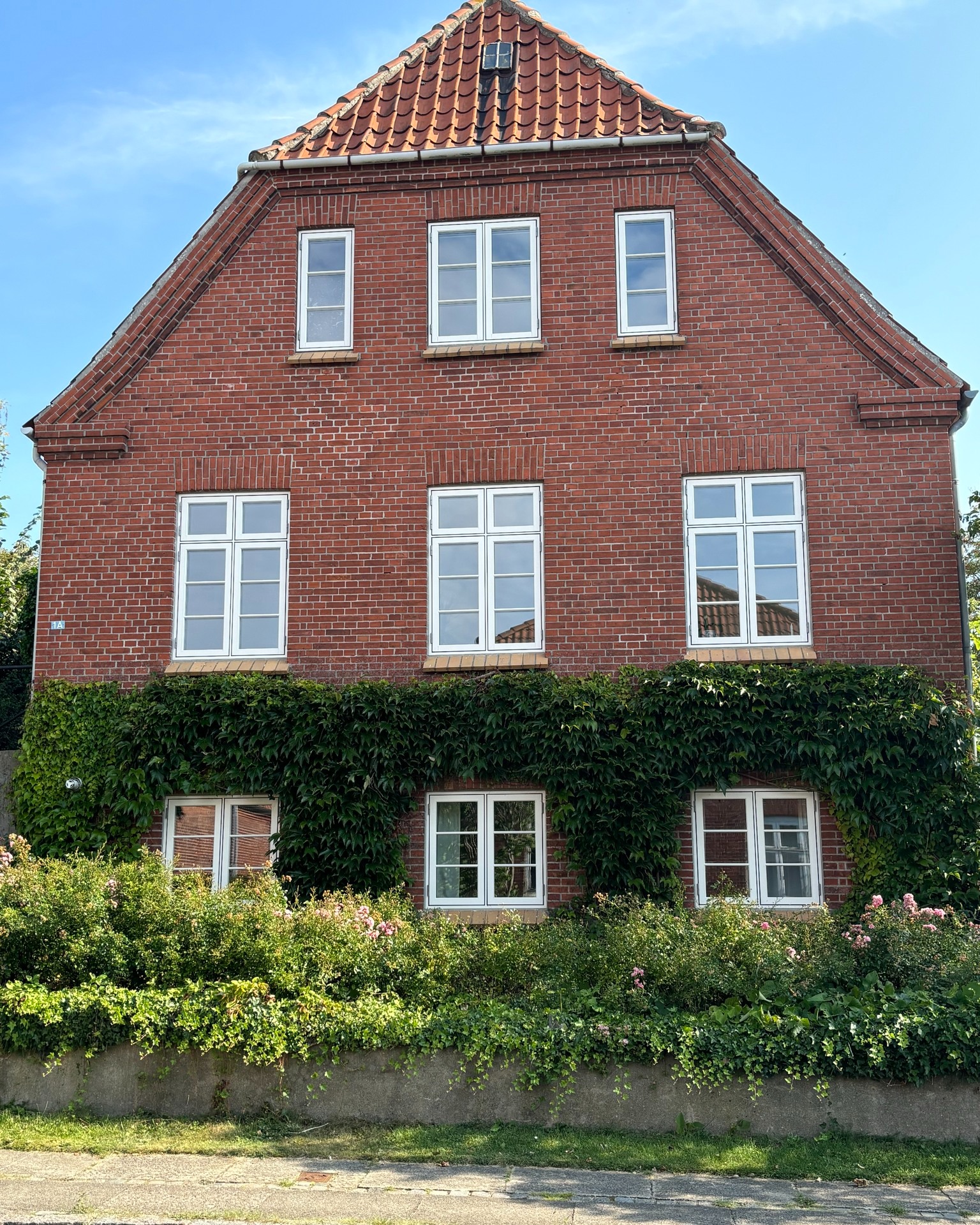 Image 6
