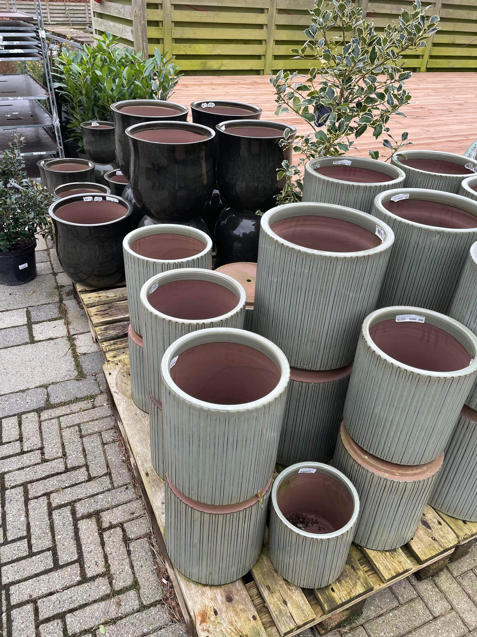 Image 8